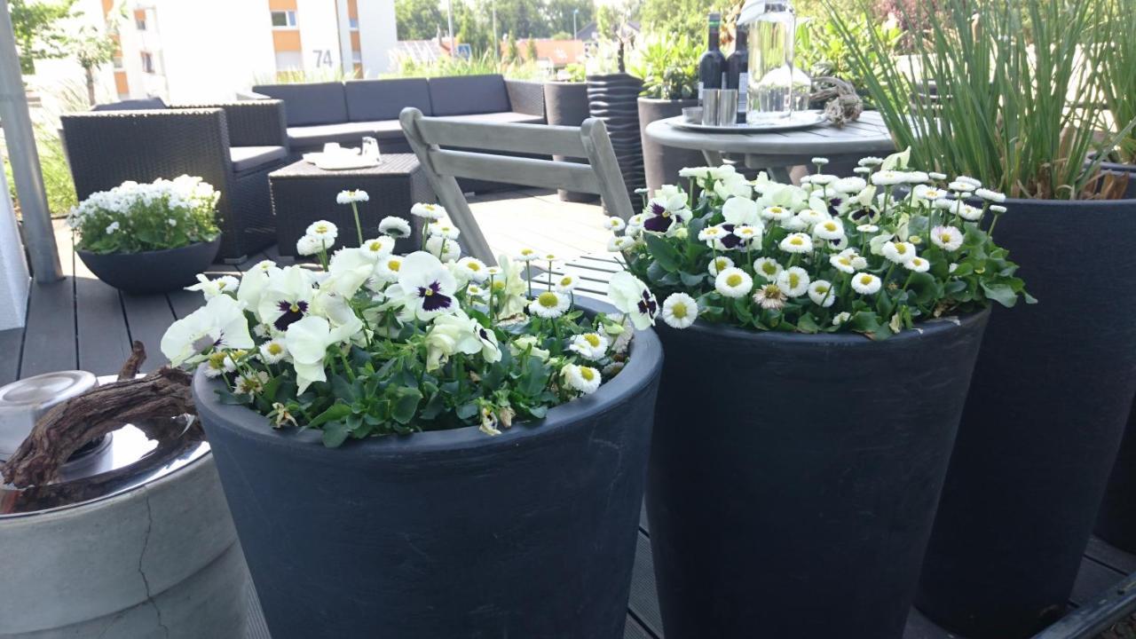 K82 Studio Hotel Relax&Work Kirchentellinsfurt Exterior foto